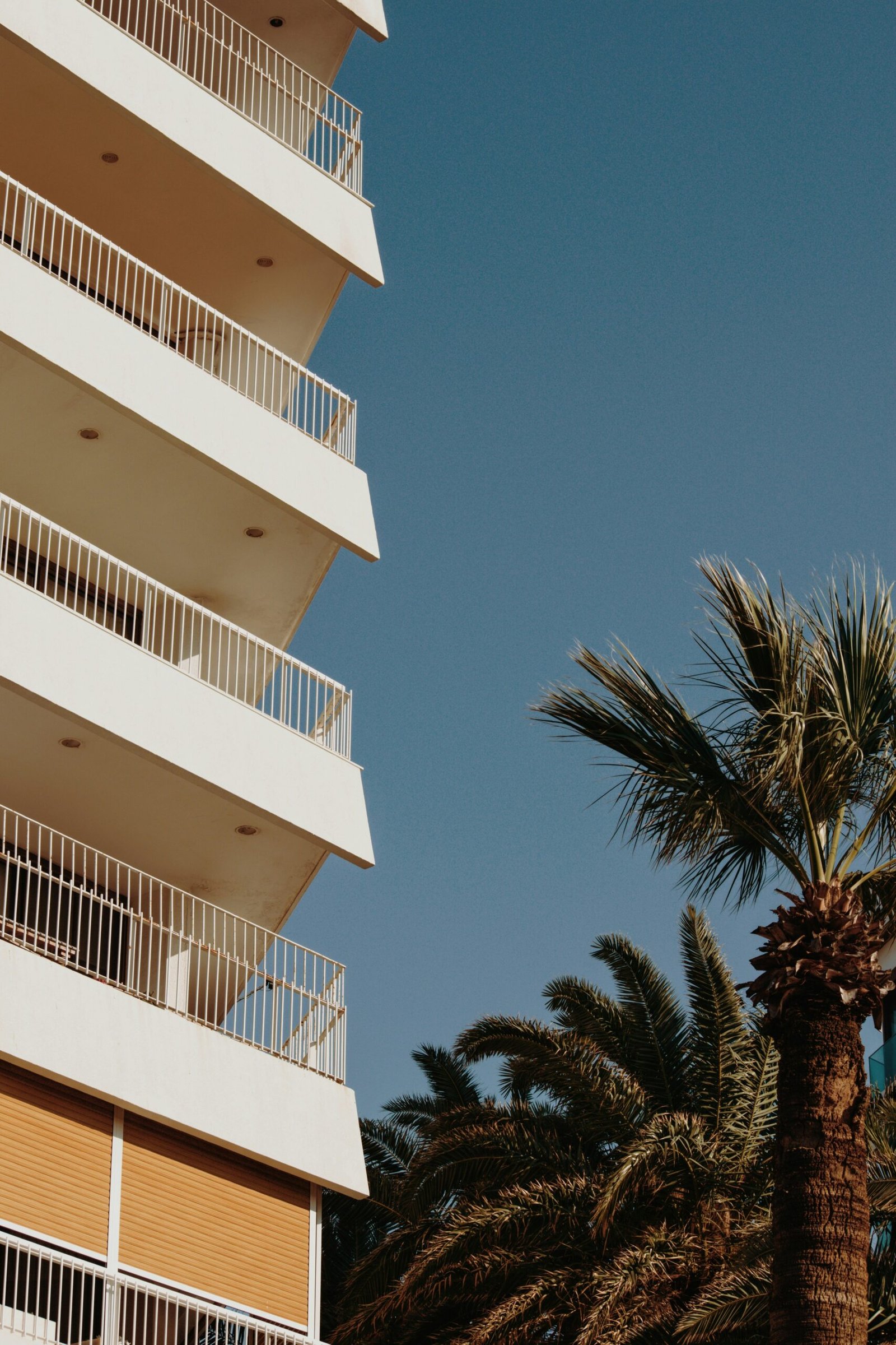 white concrete building near palm tree under blue sky during daytime